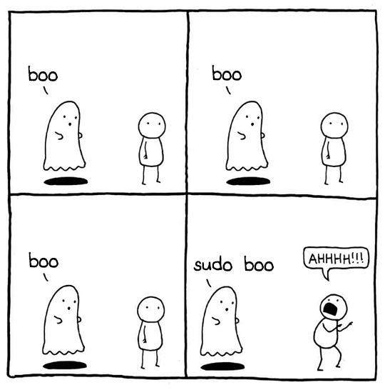 Sudo